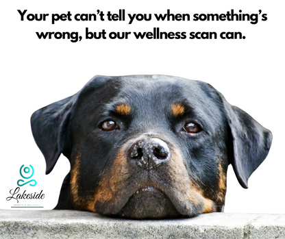 Animal Wellness Assessment