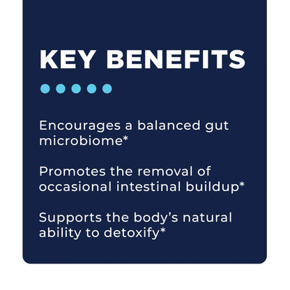 Step 2: Gut & Immune Support