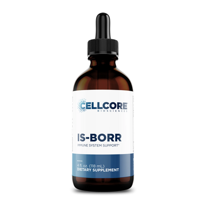 IS-BORR