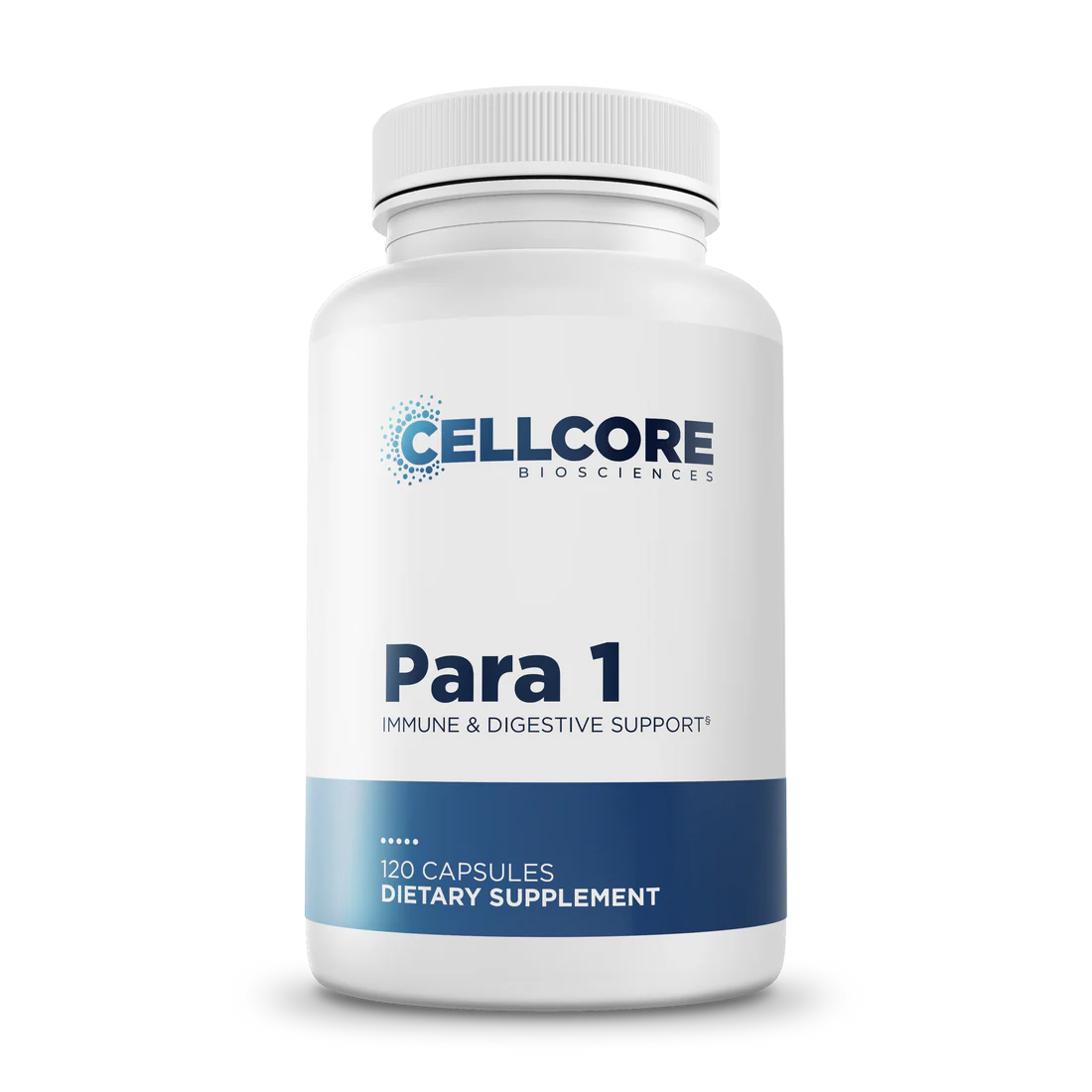 Para 1 †