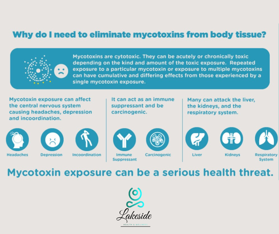 Mold & Mycotoxins Assessment