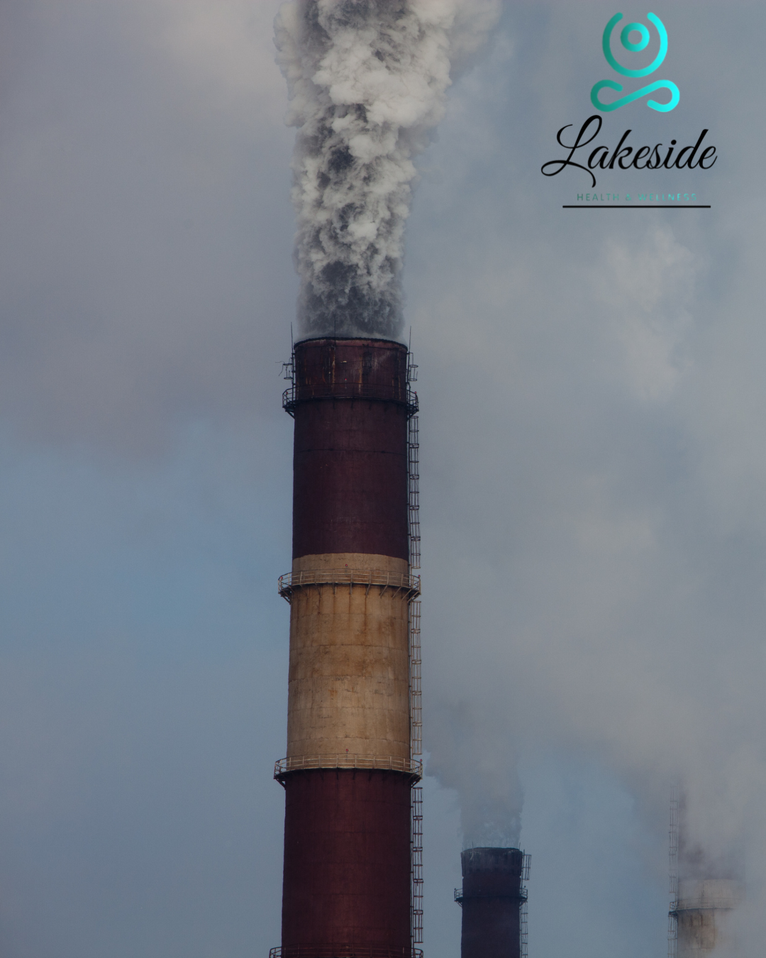 Environmental Toxins Assessment